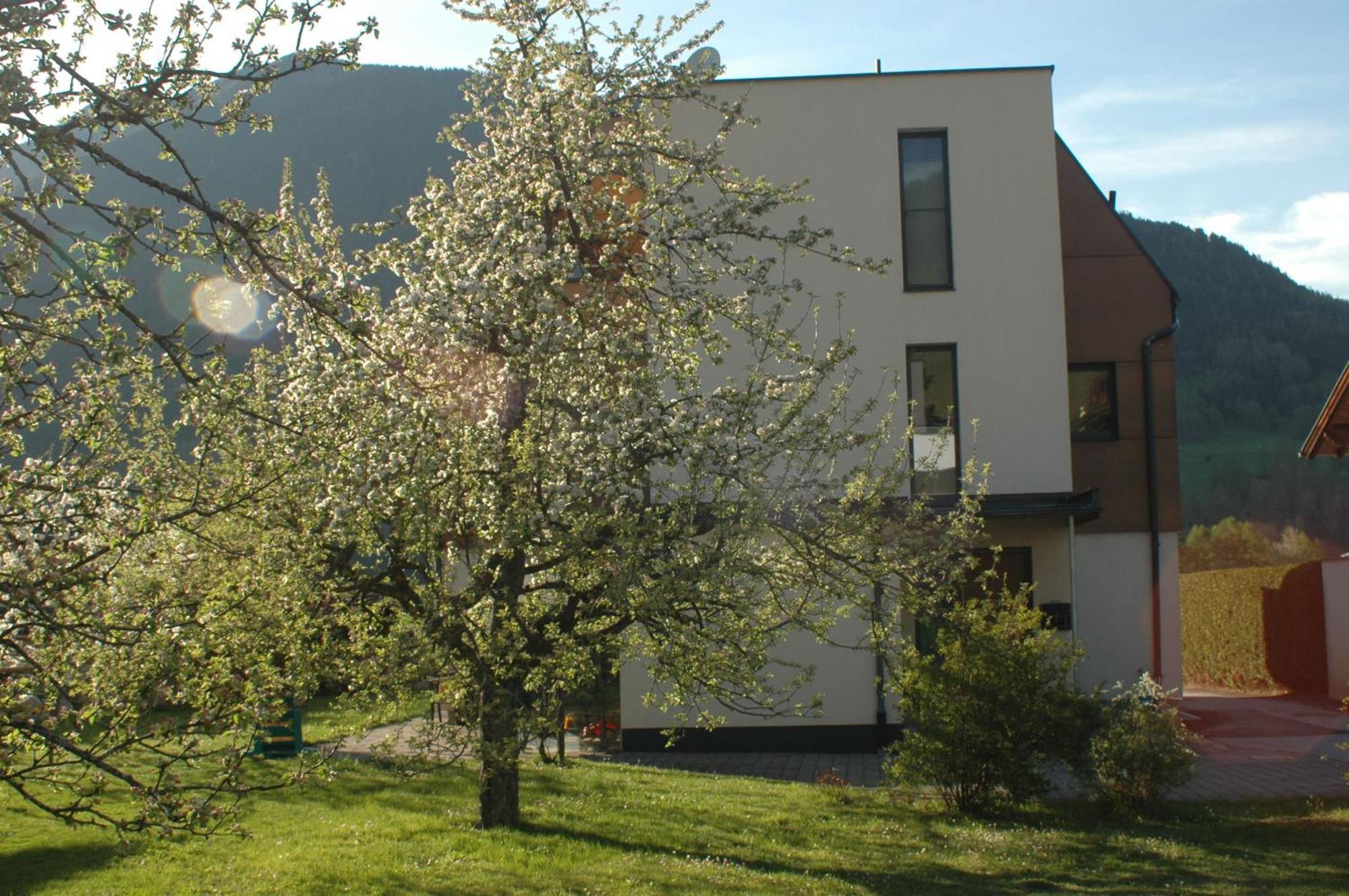 Haus Hofer Daire Mieders Dış mekan fotoğraf